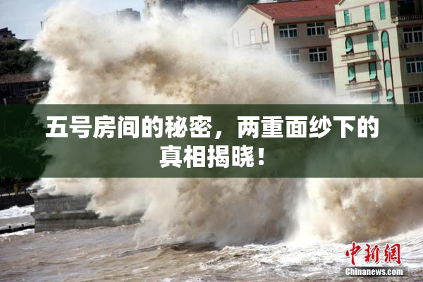 五号房间的秘密，两重面纱下的真相揭晓！