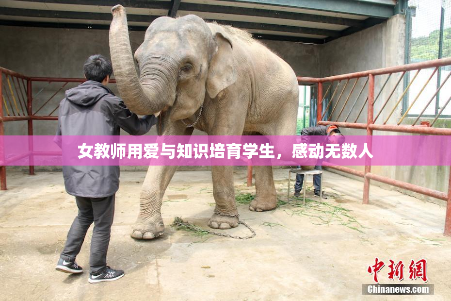 女教师用爱与知识培育学生，感动无数人