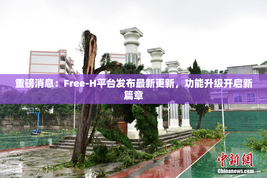 重磅消息：Free-H平台发布最新更新，功能升级开启新篇章