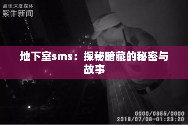 地下室sms：探秘暗藏的秘密与故事