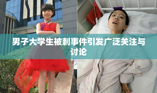 男子大学生被刺事件引发广泛关注与讨论