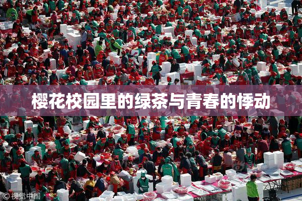 樱花校园里的绿茶与青春的悸动
