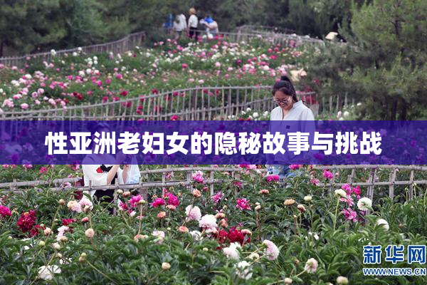 性亚洲老妇女的隐秘故事与挑战