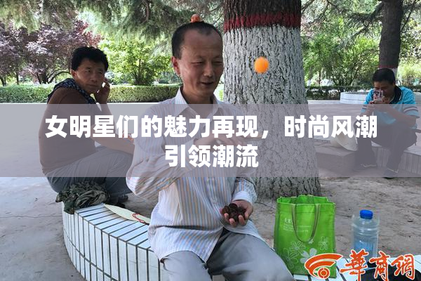 女明星们的魅力再现，时尚风潮引领潮流