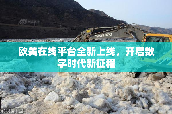 欧美在线平台全新上线，开启数字时代新征程