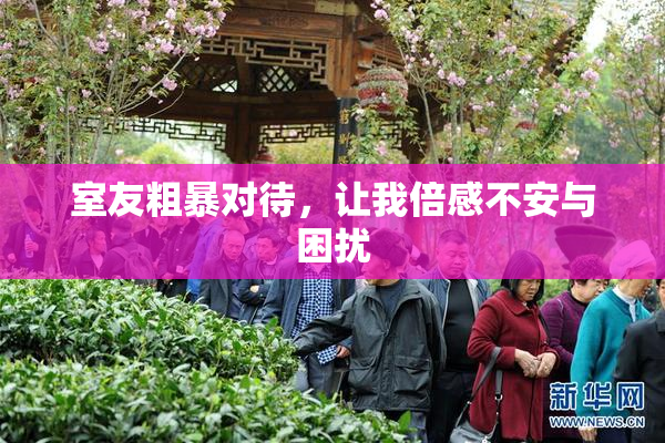 室友粗暴对待，让我倍感不安与困扰