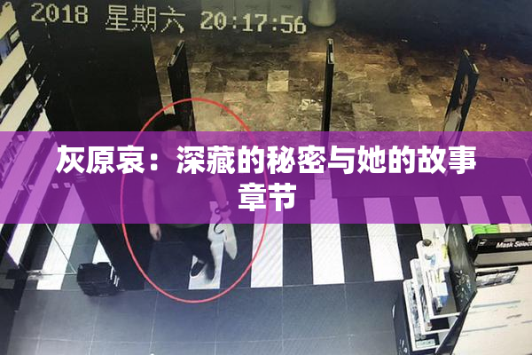 灰原哀：深藏的秘密与她的故事章节