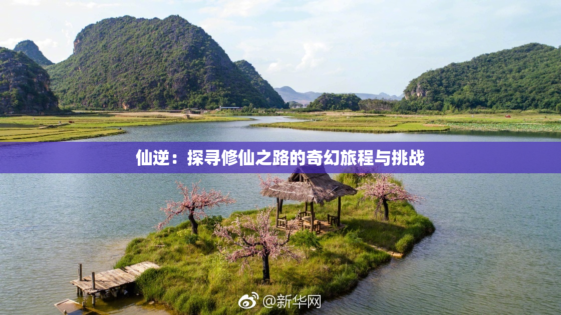 仙逆：探寻修仙之路的奇幻旅程与挑战