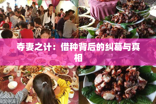 夺妻之计：借种背后的纠葛与真相