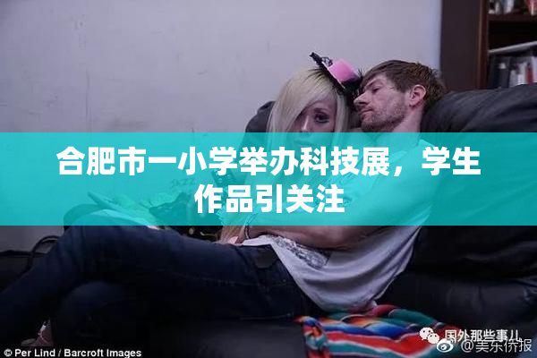 合肥市一小学举办科技展，学生作品引关注