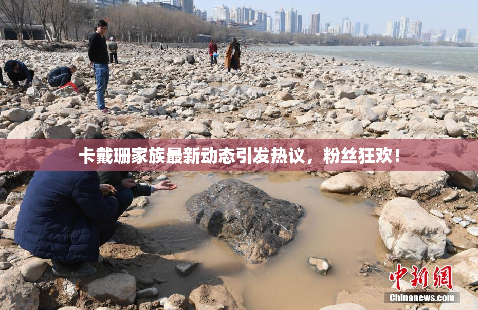 卡戴珊家族最新动态引发热议，粉丝狂欢！