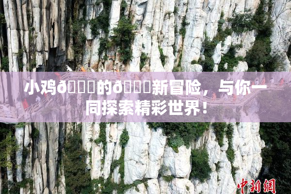 小鸡🐔的🍑新冒险，与你一同探索精彩世界！