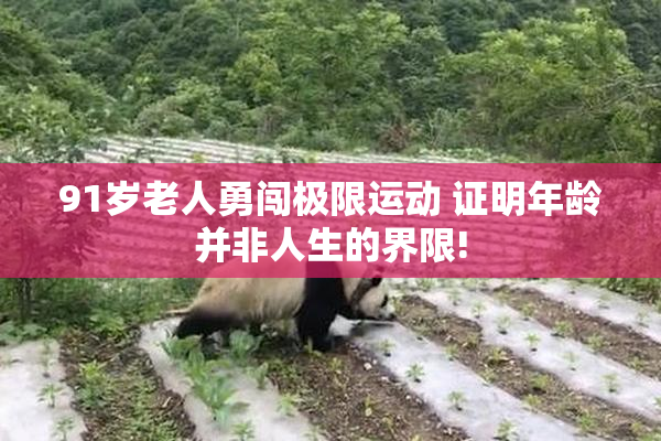 91岁老人勇闯极限运动 证明年龄并非人生的界限!