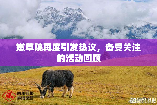 嫩草院再度引发热议，备受关注的活动回顾