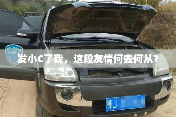 发小C了我，这段友情何去何从？