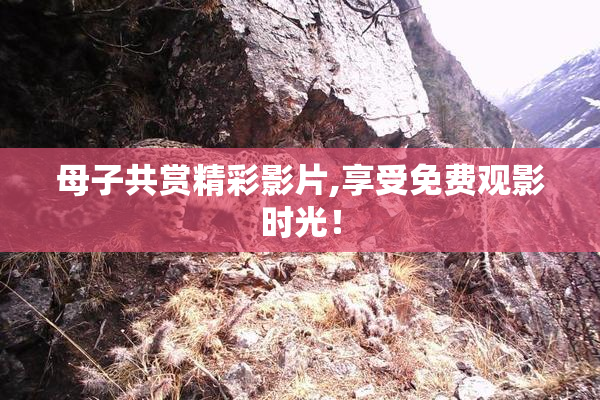 母子共赏精彩影片,享受免费观影时光！