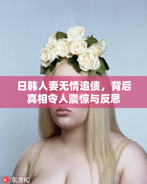 日韩人妻无情追债，背后真相令人震惊与反思
