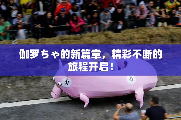 伽罗ちゃ的新篇章，精彩不断的旅程开启！
