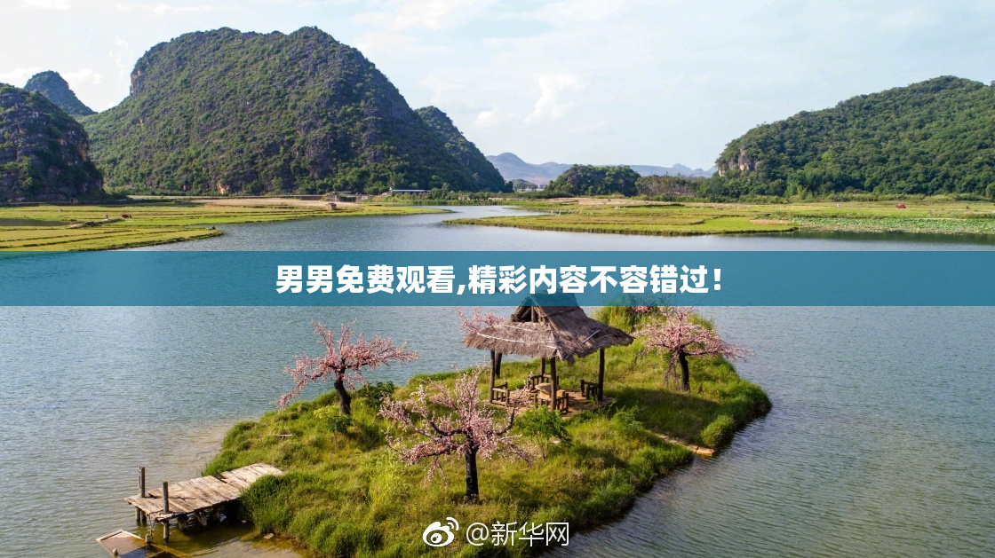 男男免费观看,精彩内容不容错过！