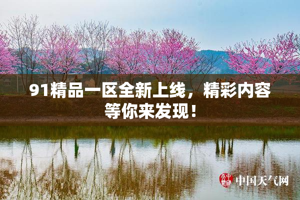 91精品一区全新上线，精彩内容等你来发现！