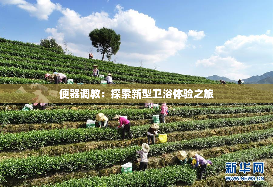 便器调教：探索新型卫浴体验之旅