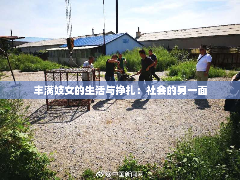 丰满妓女的生活与挣扎：社会的另一面