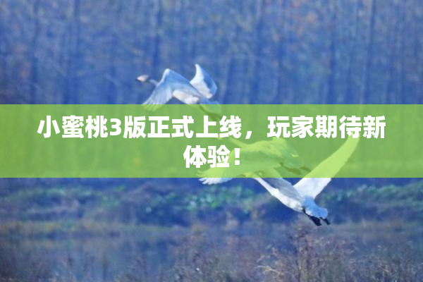 小蜜桃3版正式上线，玩家期待新体验！