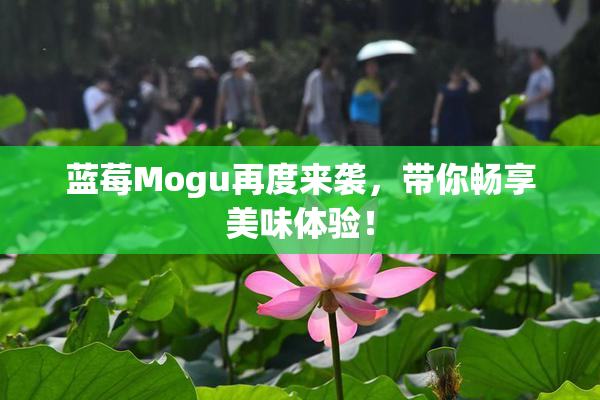 蓝莓Mogu再度来袭，带你畅享美味体验！
