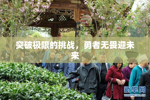 突破极限的挑战，勇者无畏迎未来