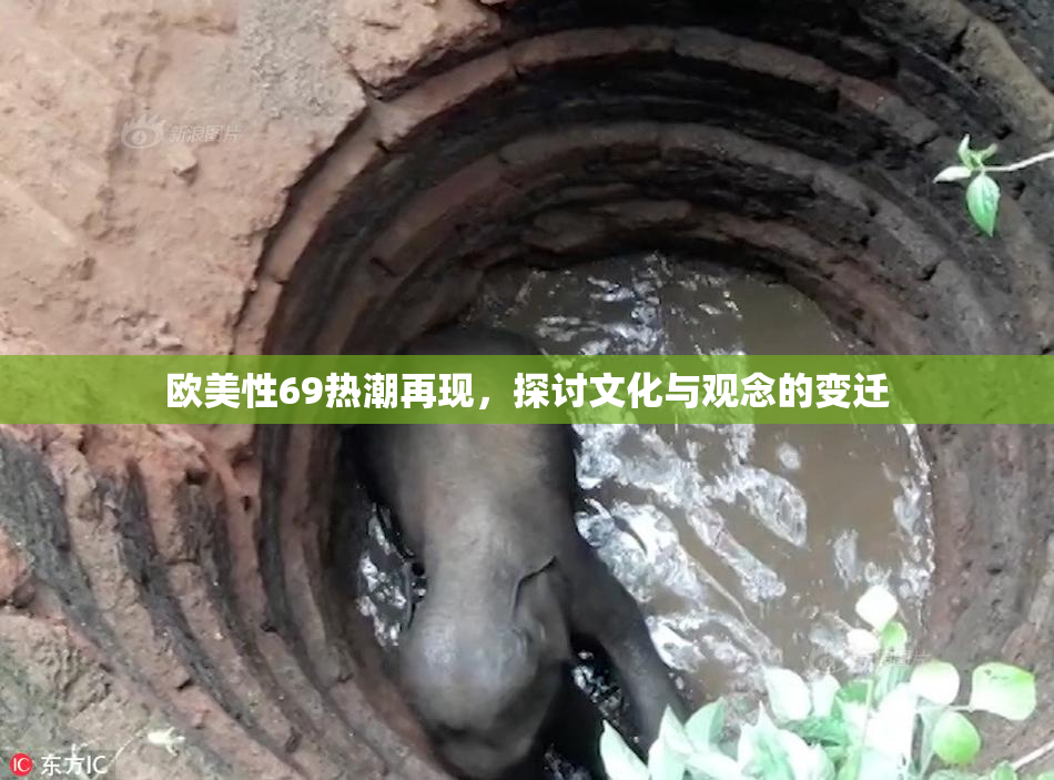 欧美性69热潮再现，探讨文化与观念的变迁