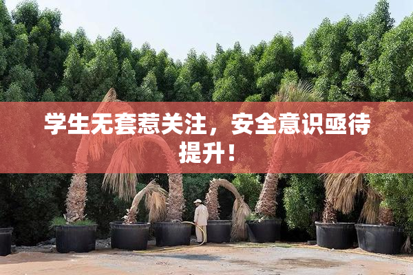 学生无套惹关注，安全意识亟待提升！