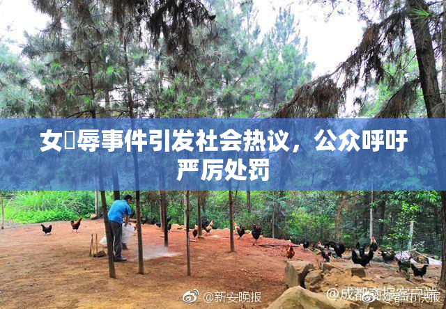 女婬辱事件引发社会热议，公众呼吁严厉处罚