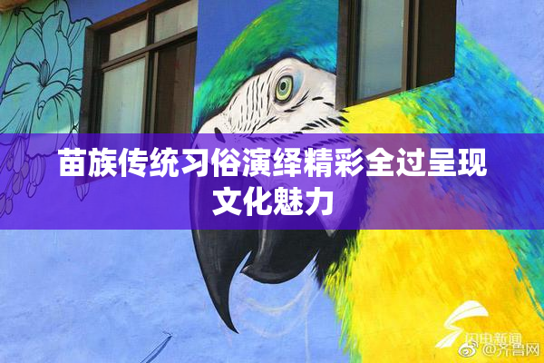 苗族传统习俗演绎精彩全过呈现文化魅力