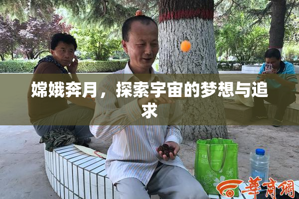 嫦娥奔月，探索宇宙的梦想与追求