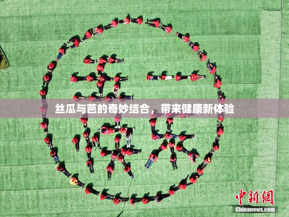丝瓜与芭的奇妙结合，带来健康新体验