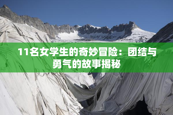 11名女学生的奇妙冒险：团结与勇气的故事揭秘
