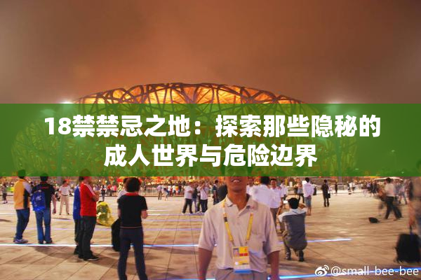 18禁禁忌之地：探索那些隐秘的成人世界与危险边界