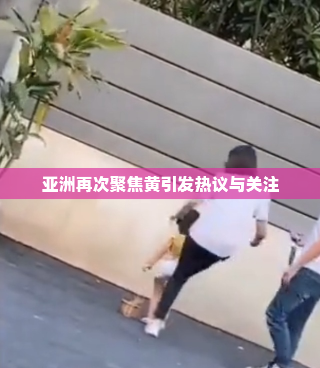 亚洲再次聚焦黄引发热议与关注
