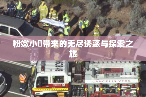 粉嫩小泬带来的无尽诱惑与探索之旅