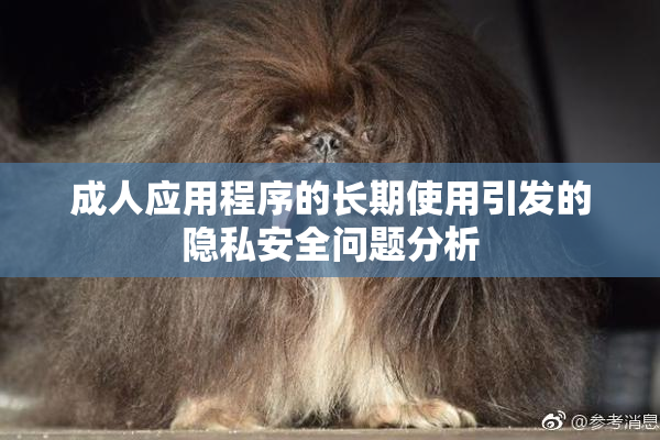 成人应用程序的长期使用引发的隐私安全问题分析