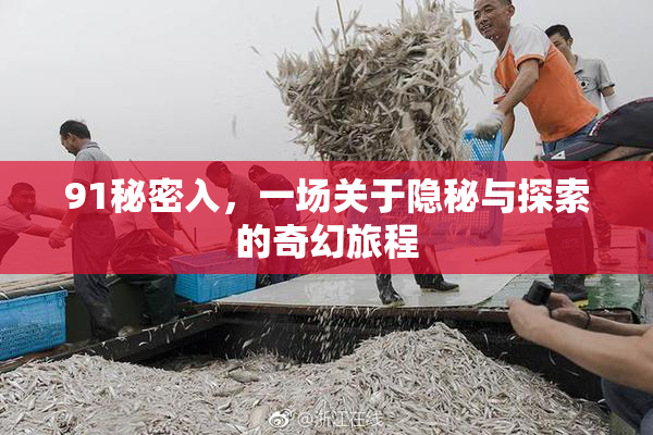 91秘密入，一场关于隐秘与探索的奇幻旅程