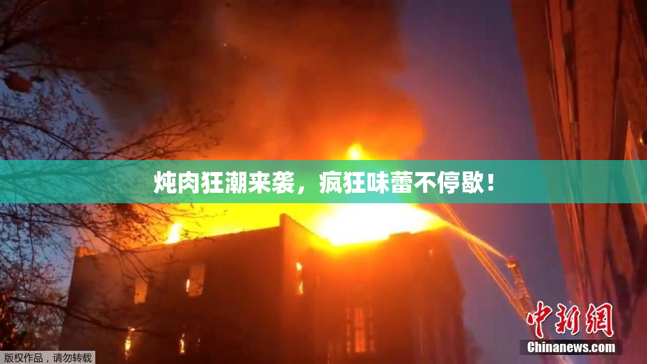 炖肉狂潮来袭，疯狂味蕾不停歇！