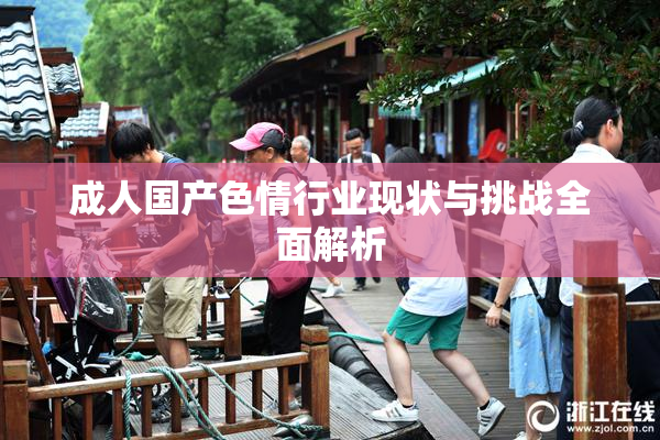 成人国产色情行业现状与挑战全面解析
