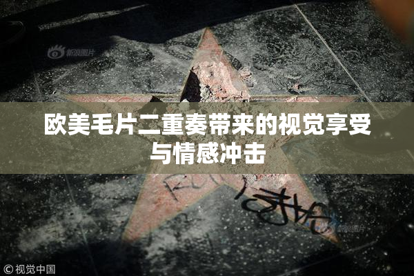 欧美毛片二重奏带来的视觉享受与情感冲击