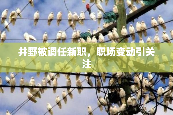 井野被调任新职，职场变动引关注