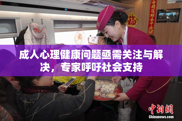 成人心理健康问题亟需关注与解决，专家呼吁社会支持