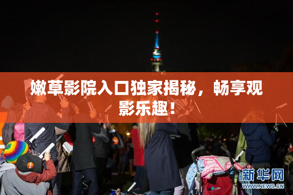 嫩草影院入口独家揭秘，畅享观影乐趣！