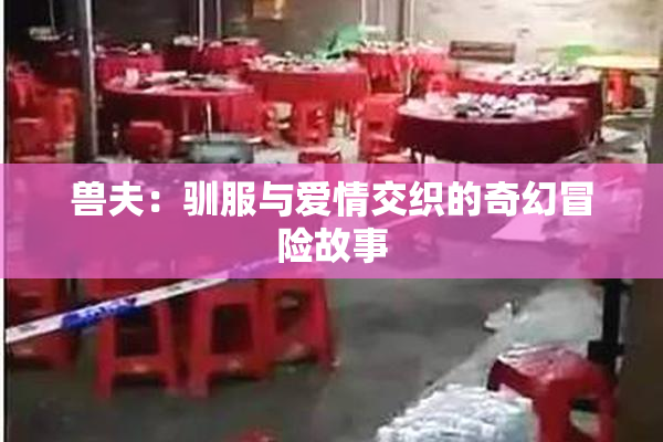 兽夫：驯服与爱情交织的奇幻冒险故事