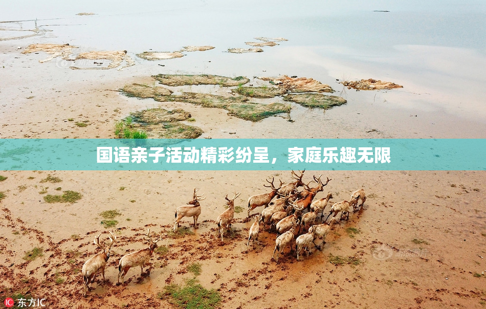 国语亲子活动精彩纷呈，家庭乐趣无限