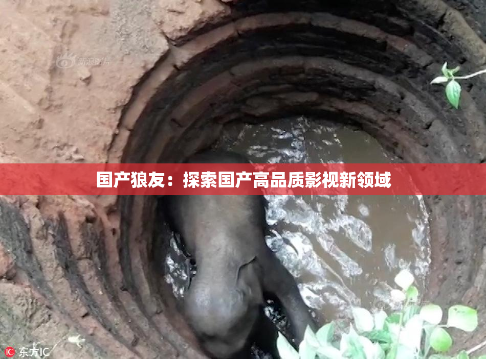 国产狼友：探索国产高品质影视新领域